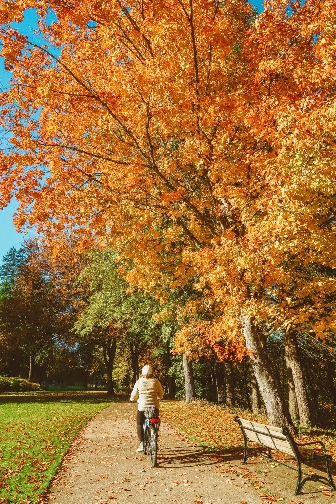 What to Do in Eugene, Oregon: Eat, Play and Stay