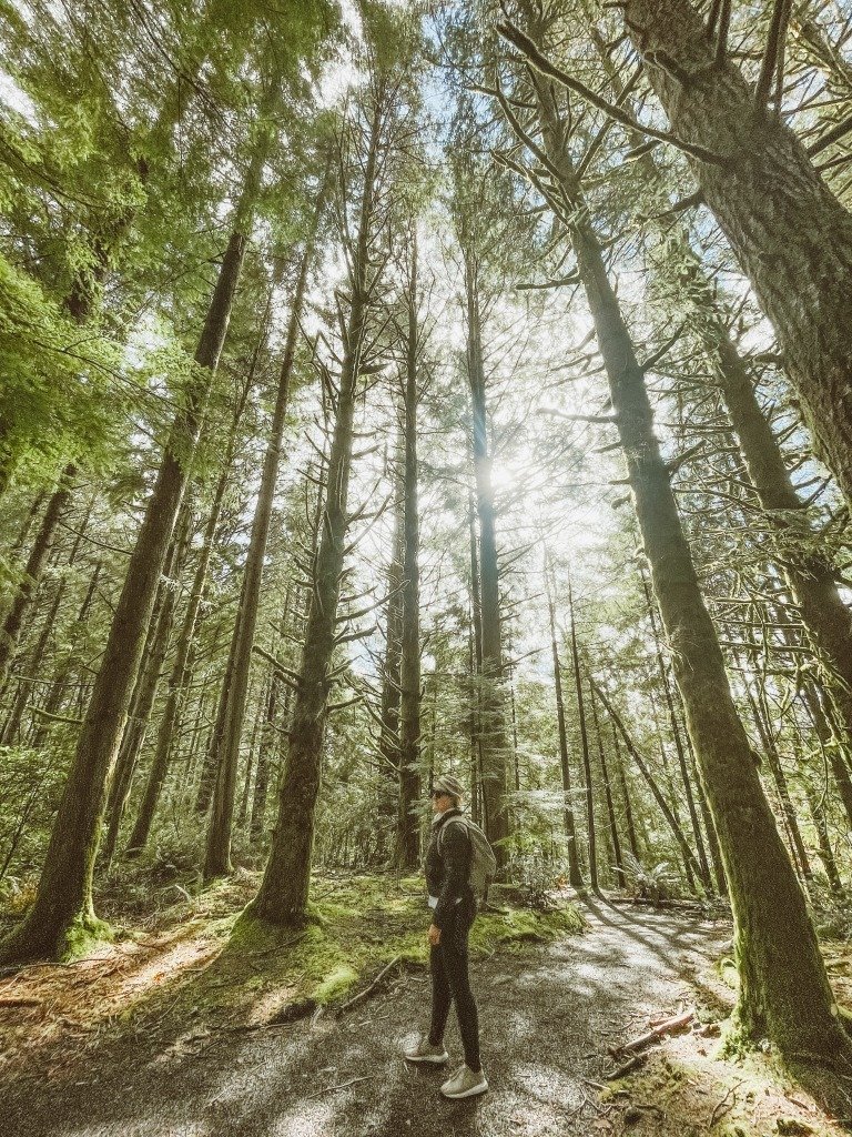 fort clatsop fort clatsop