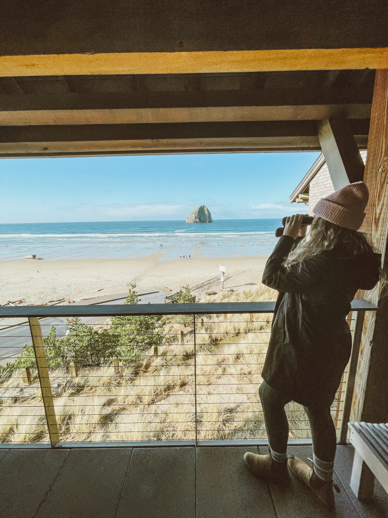 Ocean view on binoculars