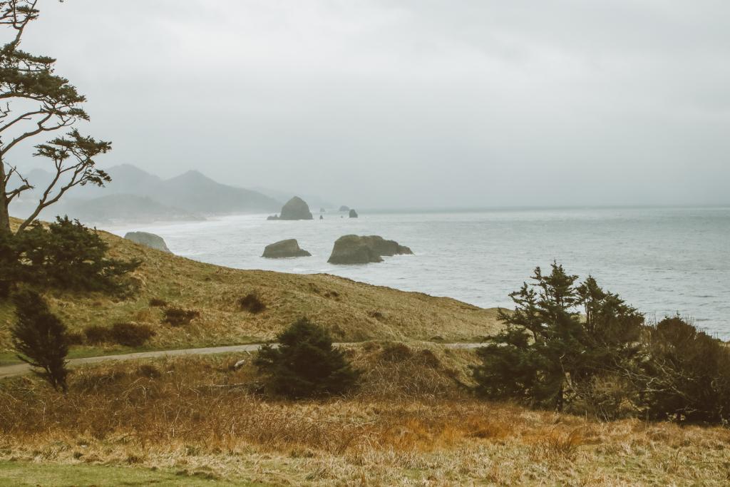 Oregon Coast
