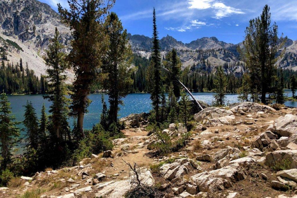 Tin Cup Hiker Tin Cup Hiker