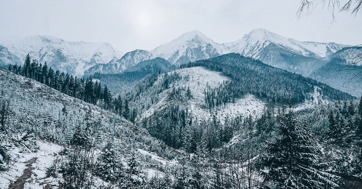 Best National Parks To Visit In Winter
