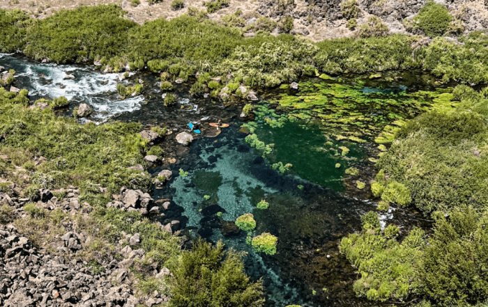 What to Know Before Hiking Box Canyon Springs Trail
