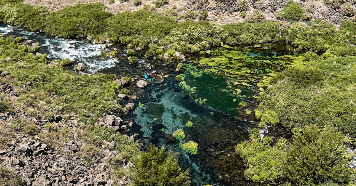 What to Know Before Hiking Box Canyon Springs Trail