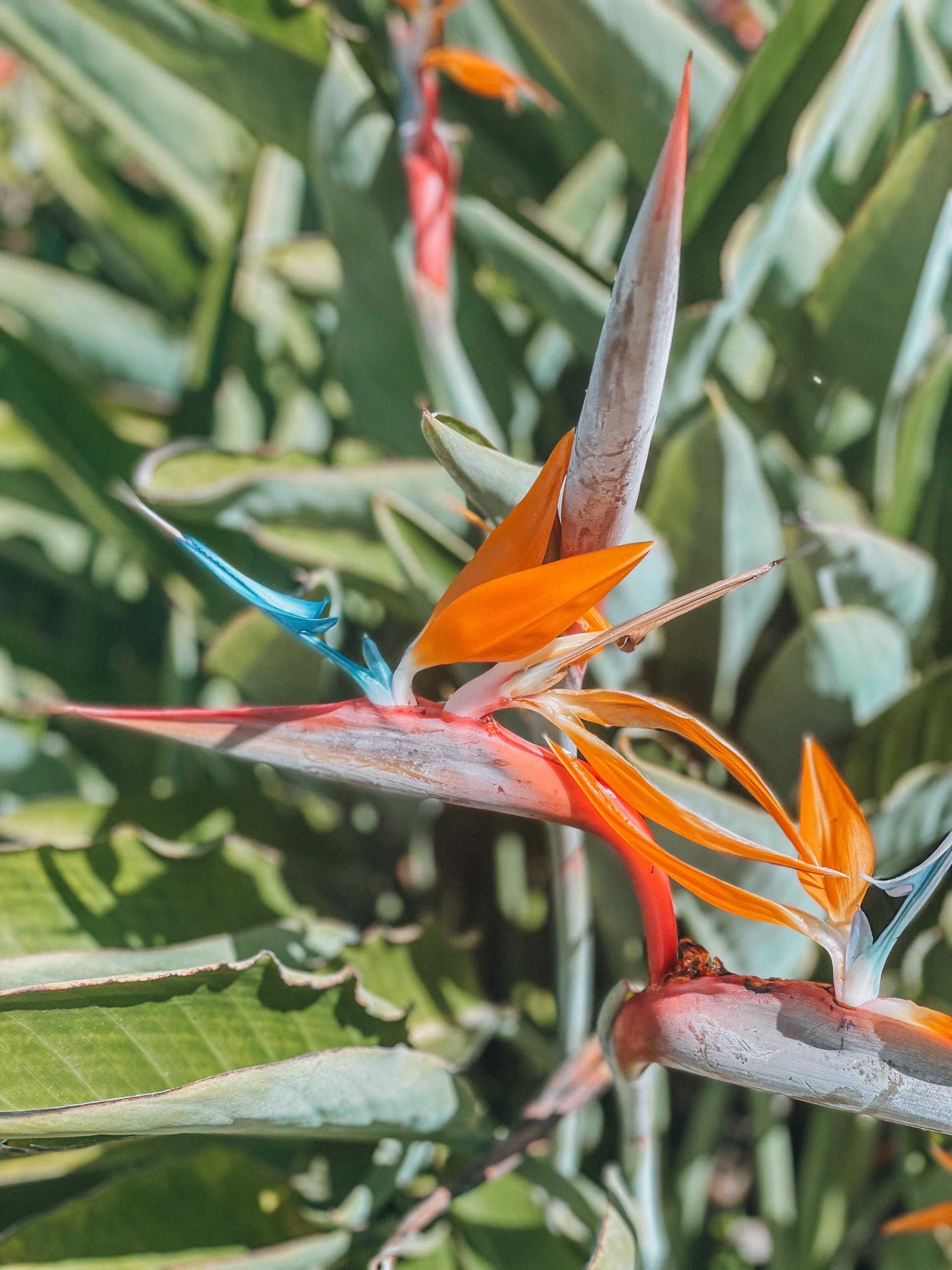 La Jolla Travel Guide: Where to Eat, Stay, and Play