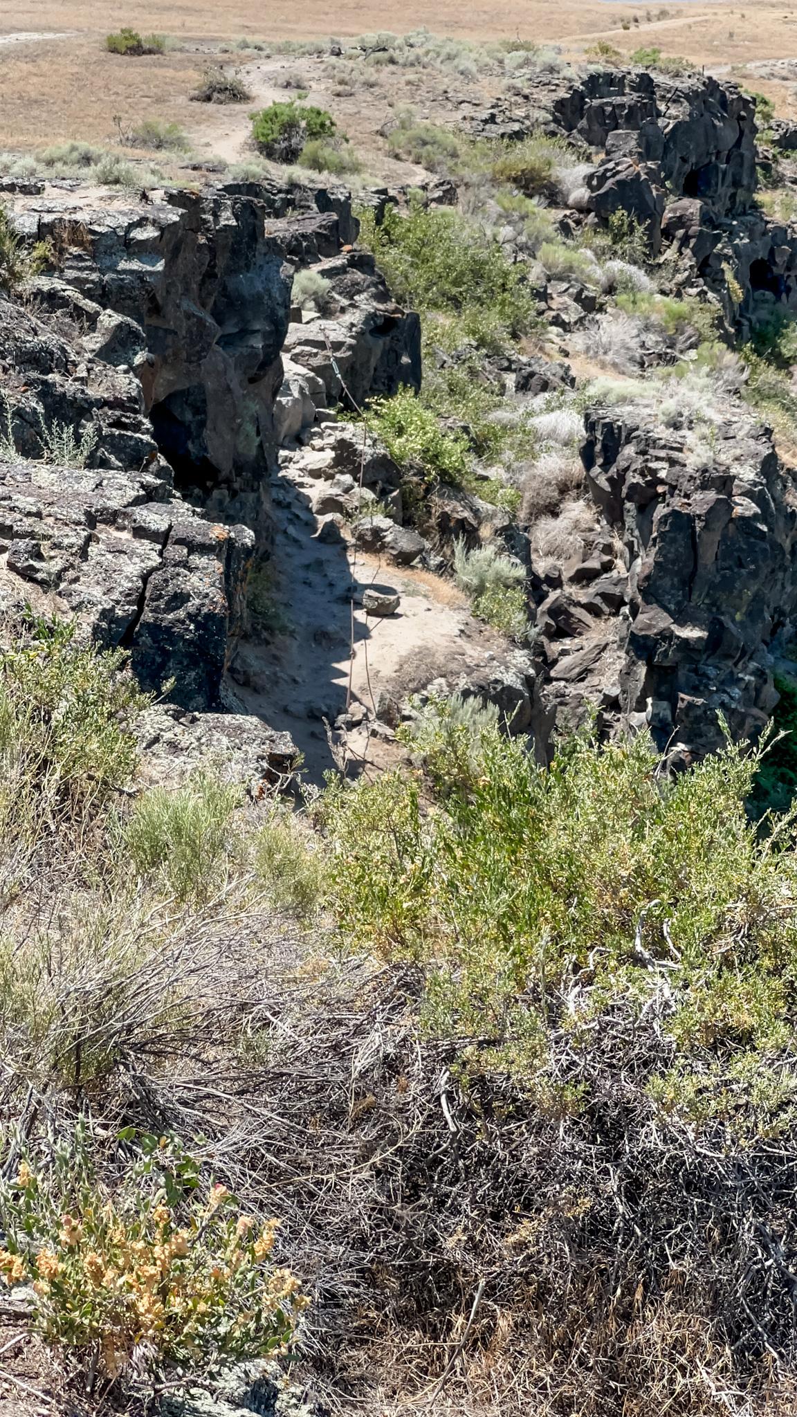 Hiking Box Canyon Springs Trail