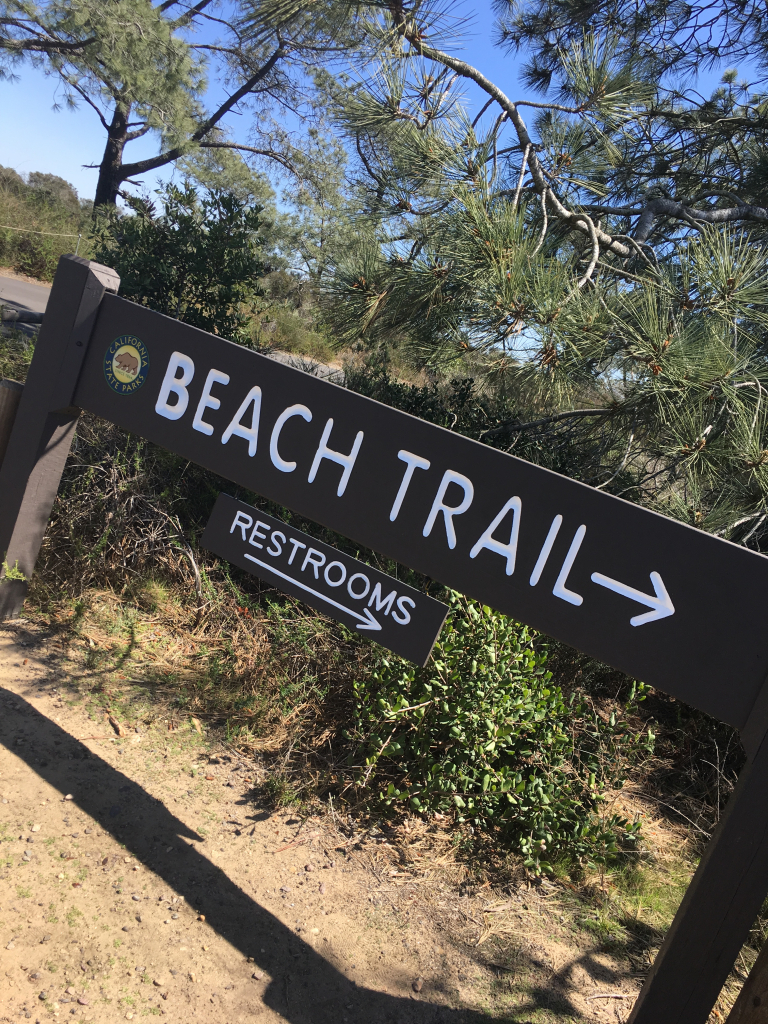 Torrey Pines Nature Reserve