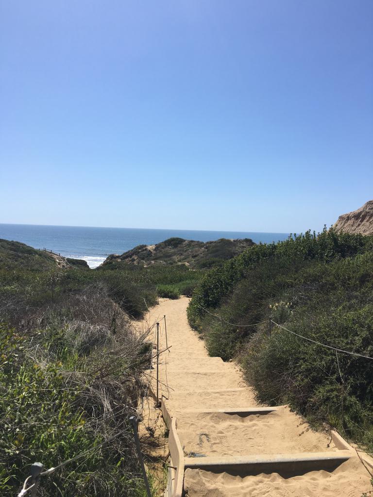 Torrey Pines Nature Reserve