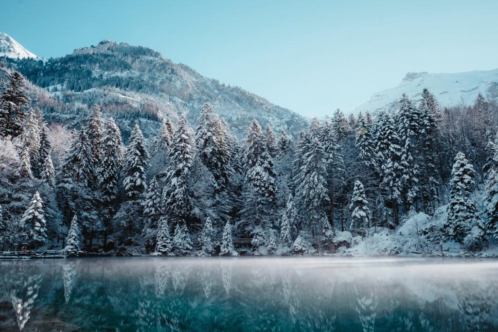 16 Winter Car Camping Essentials