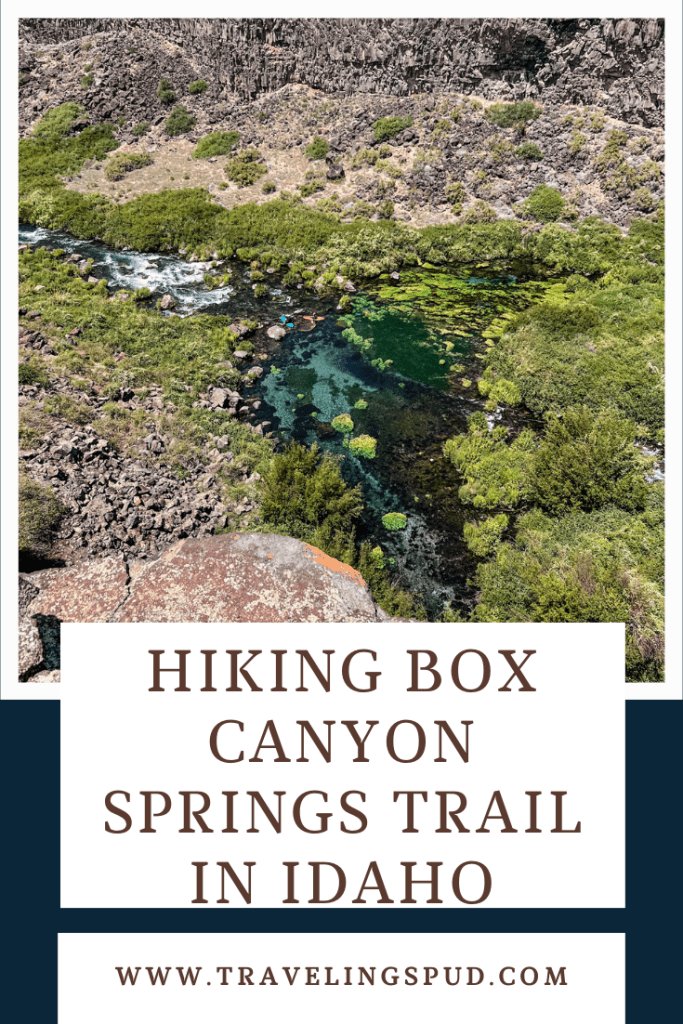 Hiking Box Canyon Springs Trail