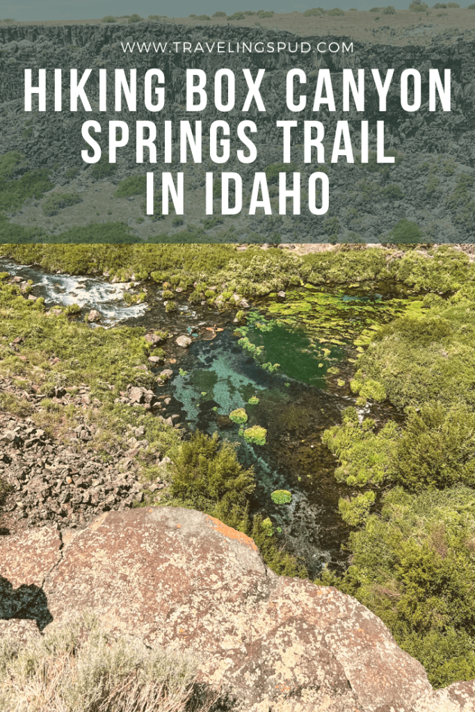 Hiking Box Canyon Springs Trail