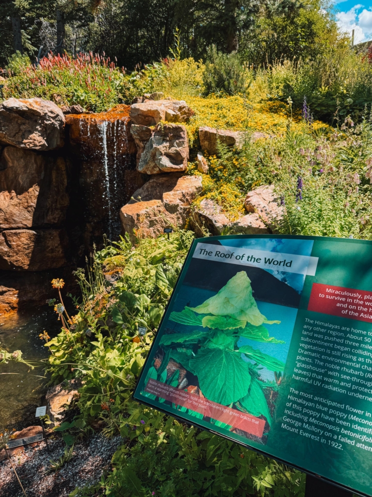 Betty Ford Alpine Gardens