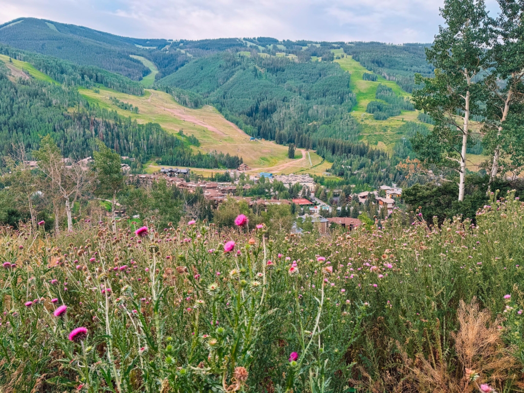 Best Things to Do in Vail Colorado in Summer