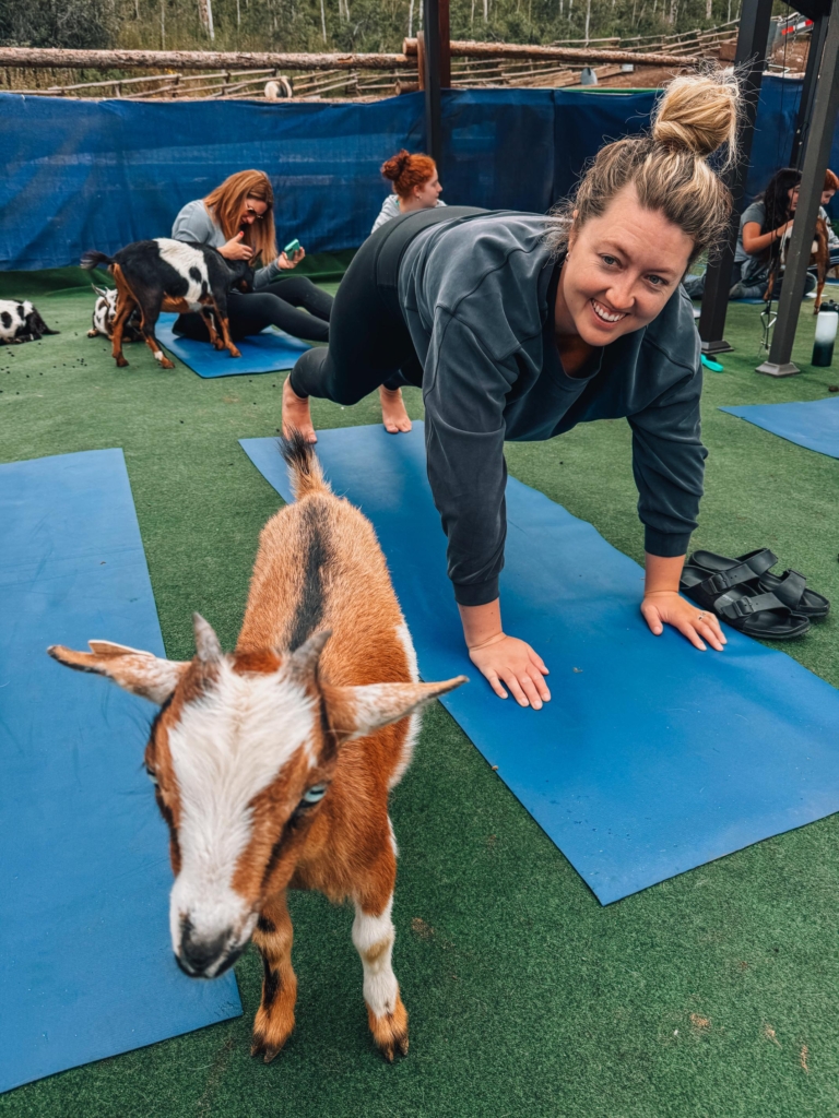 Goat Yoga