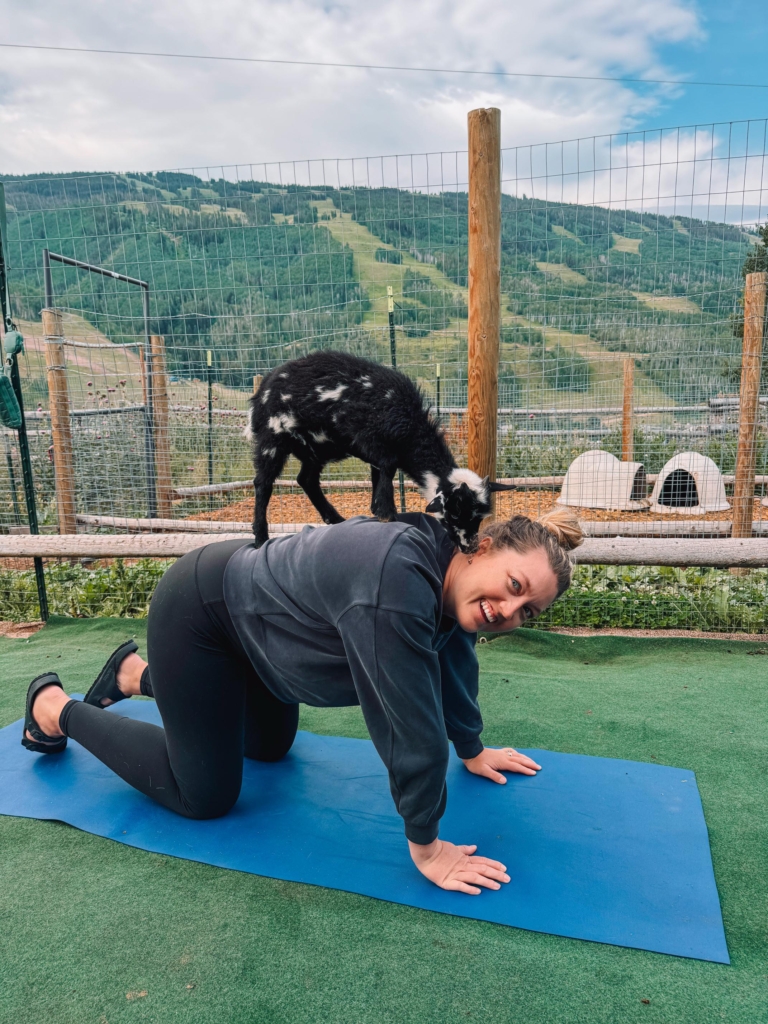 Goat Yoga at Vail Stables
