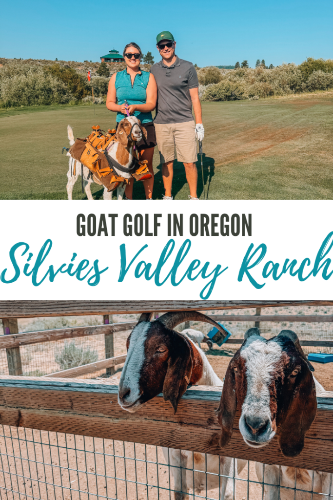 Silvies Valley Ranch goat golf