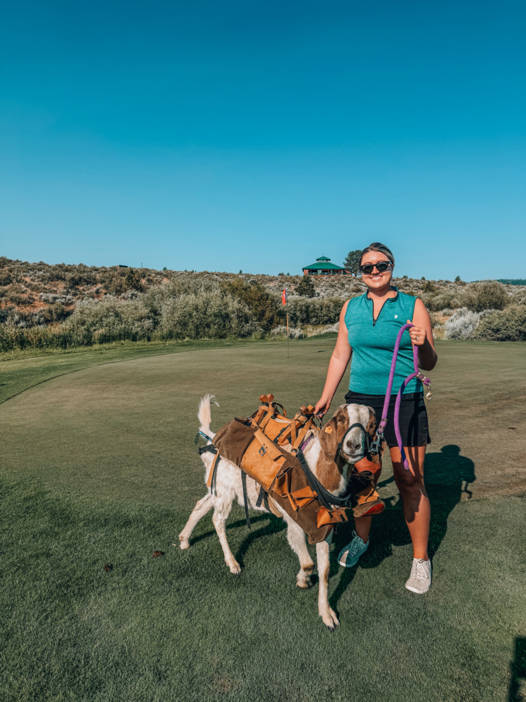 Goat Caddies