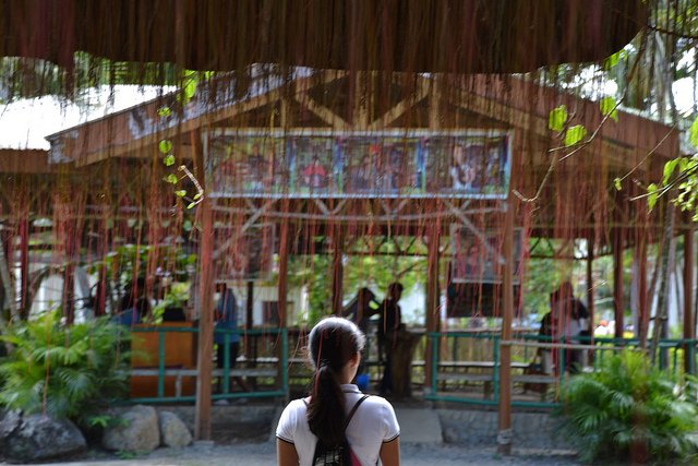 palawan for families