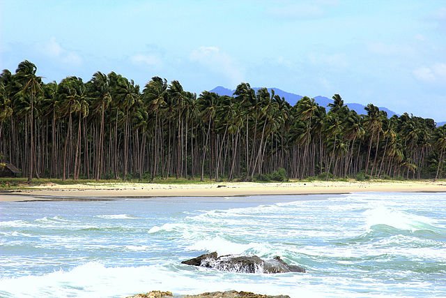 Palawan for Nature Lovers