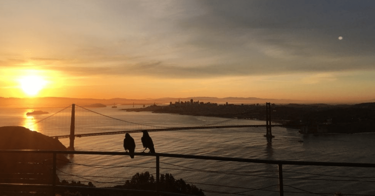 The Best Sunrise Hike Above the Golden Gate Bridge