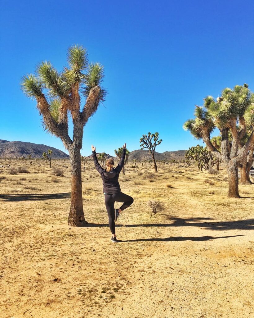Joshua Tree fun things to do 8 Things to Do in Joshua Tree National Park | Traveling Spud