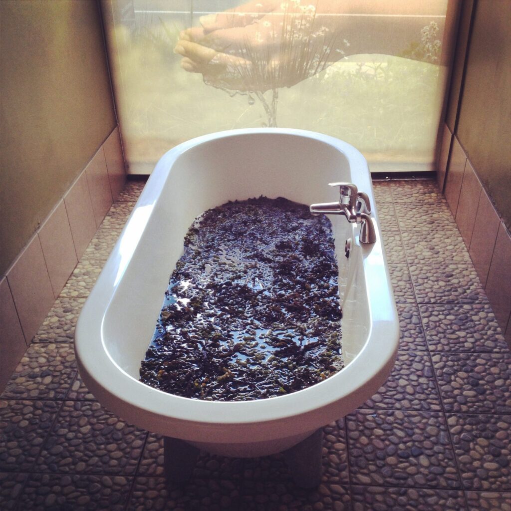 seaweed bath