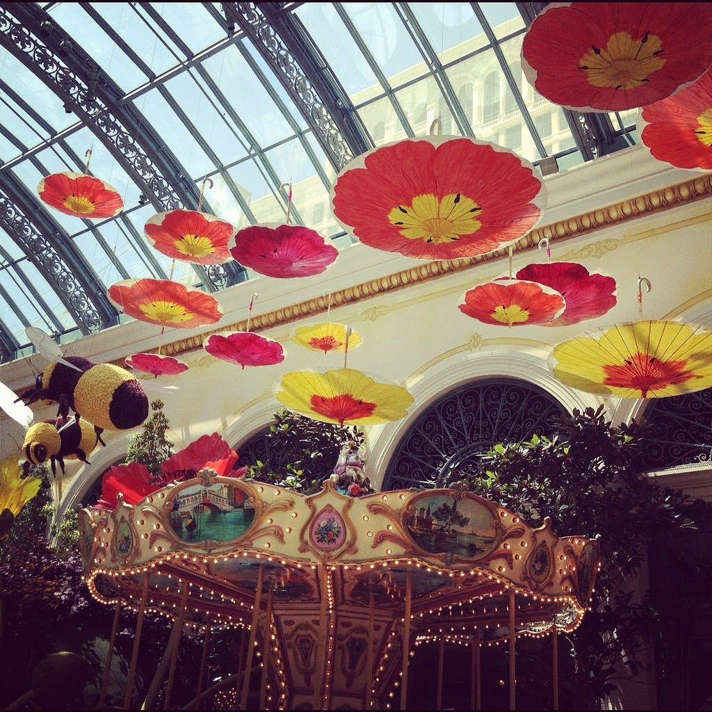 Fun Things to Do in Las Vegas 11 Fun Things to Do in Las Vegas
