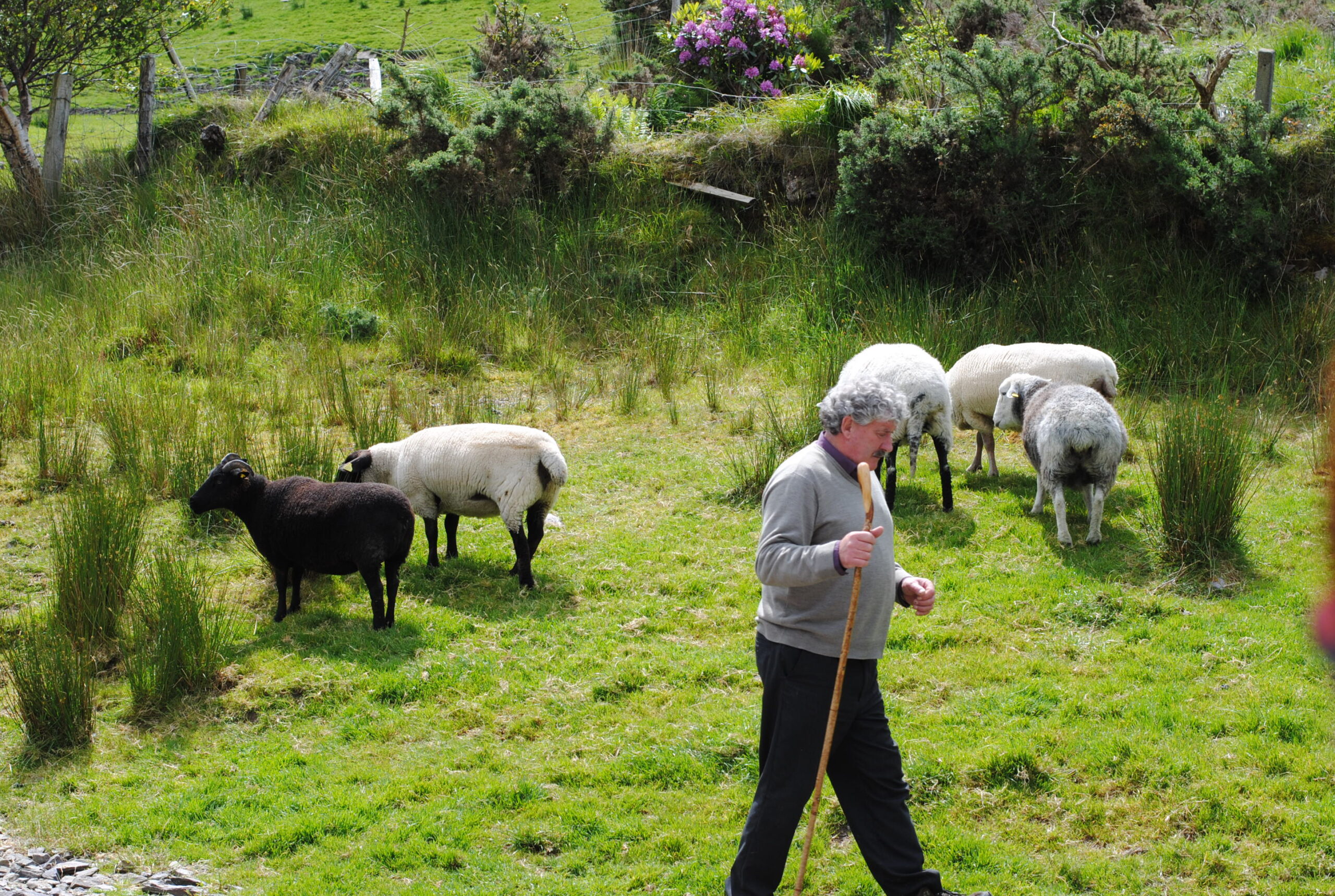 Reasons Why You MUST Roadtrip Through Ireland