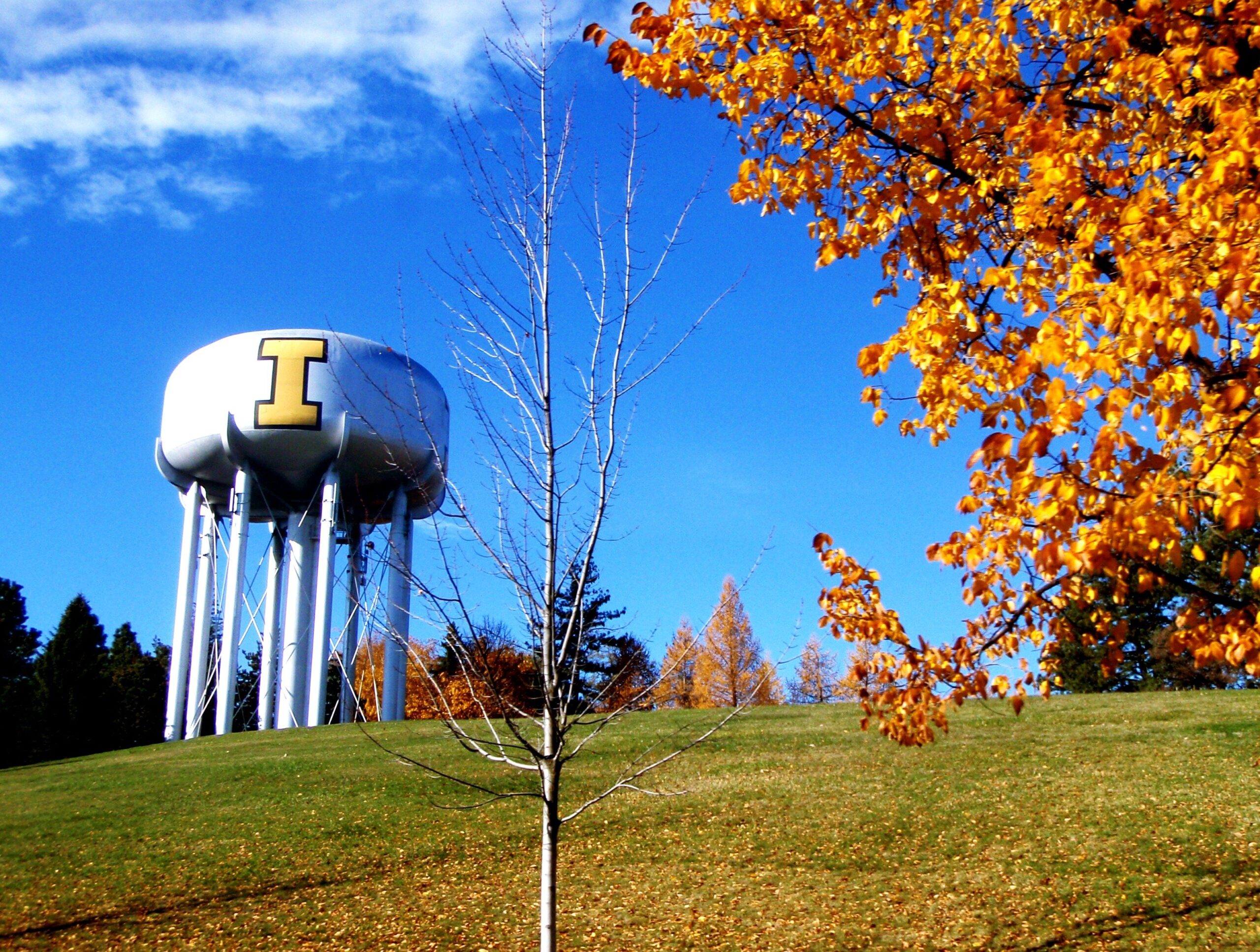 Things to do in moscow Idaho