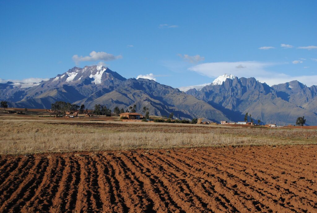 Chinchero farms