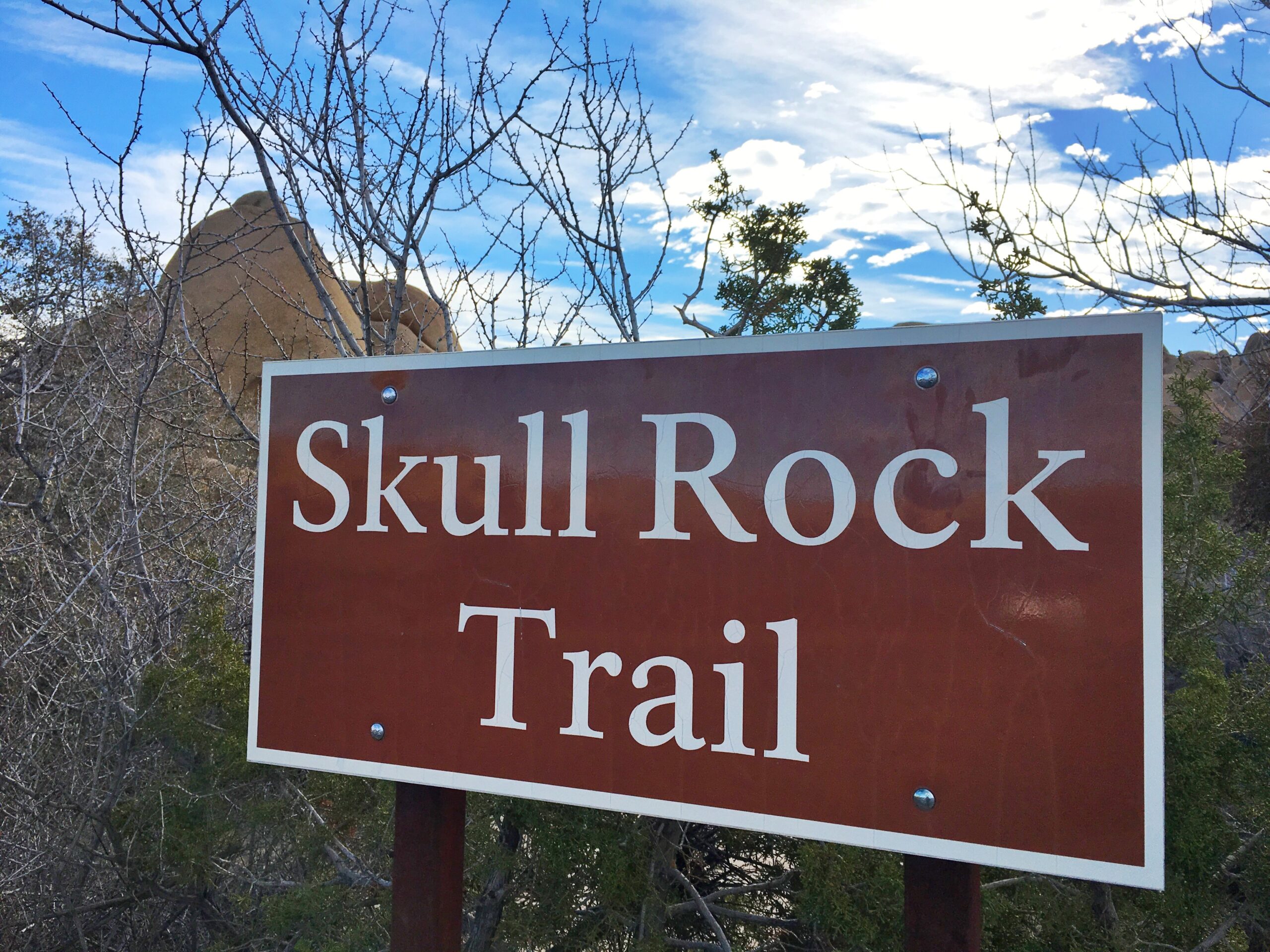 Skull Rock Trail Skull Rock Trail