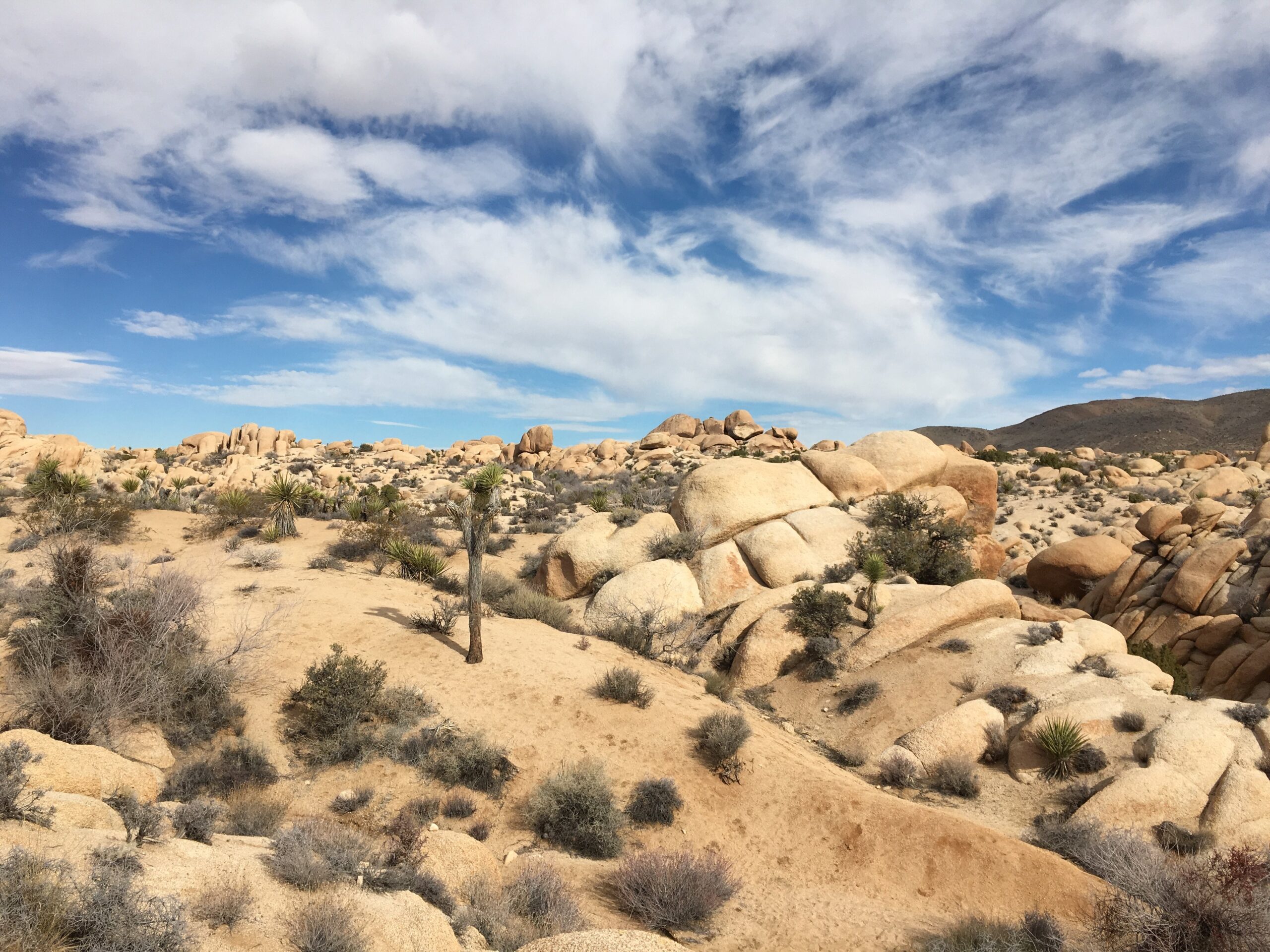 Hall of Horrors Joshua Tree Hall of Horrors rock formations