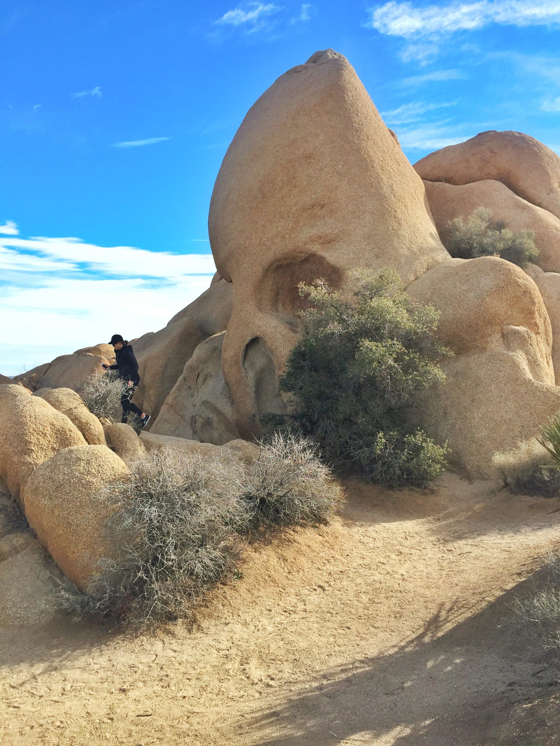 Skull Rock Skull Rock Trail