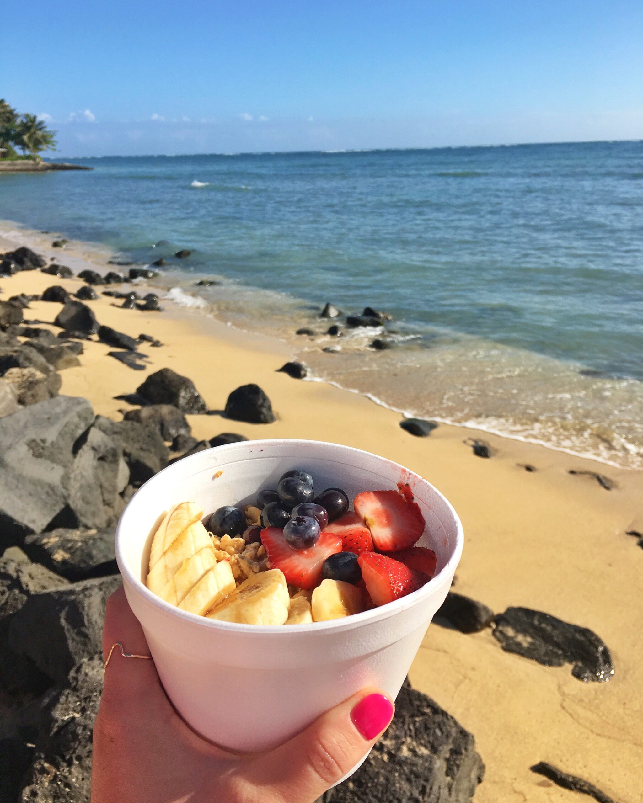 acai fruit bowl Traveling Solo in Oahu with the Lokely App | Traveling Spud