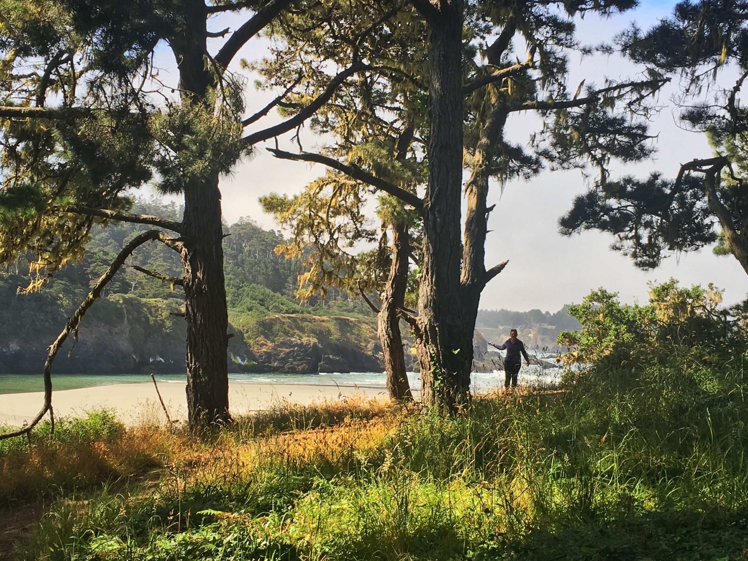Bowling Ball beach 2 Nights in Mendocino California | Traveling Spud