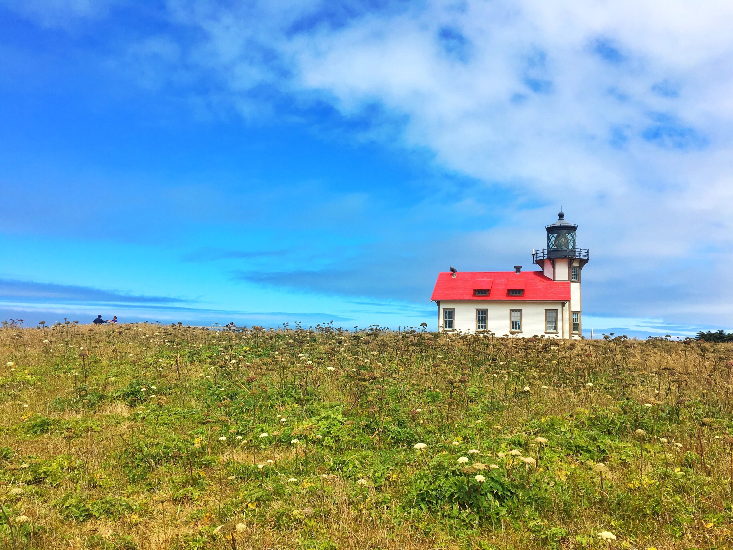 Mendocino California 2 Nights in Mendocino California | Traveling Spud