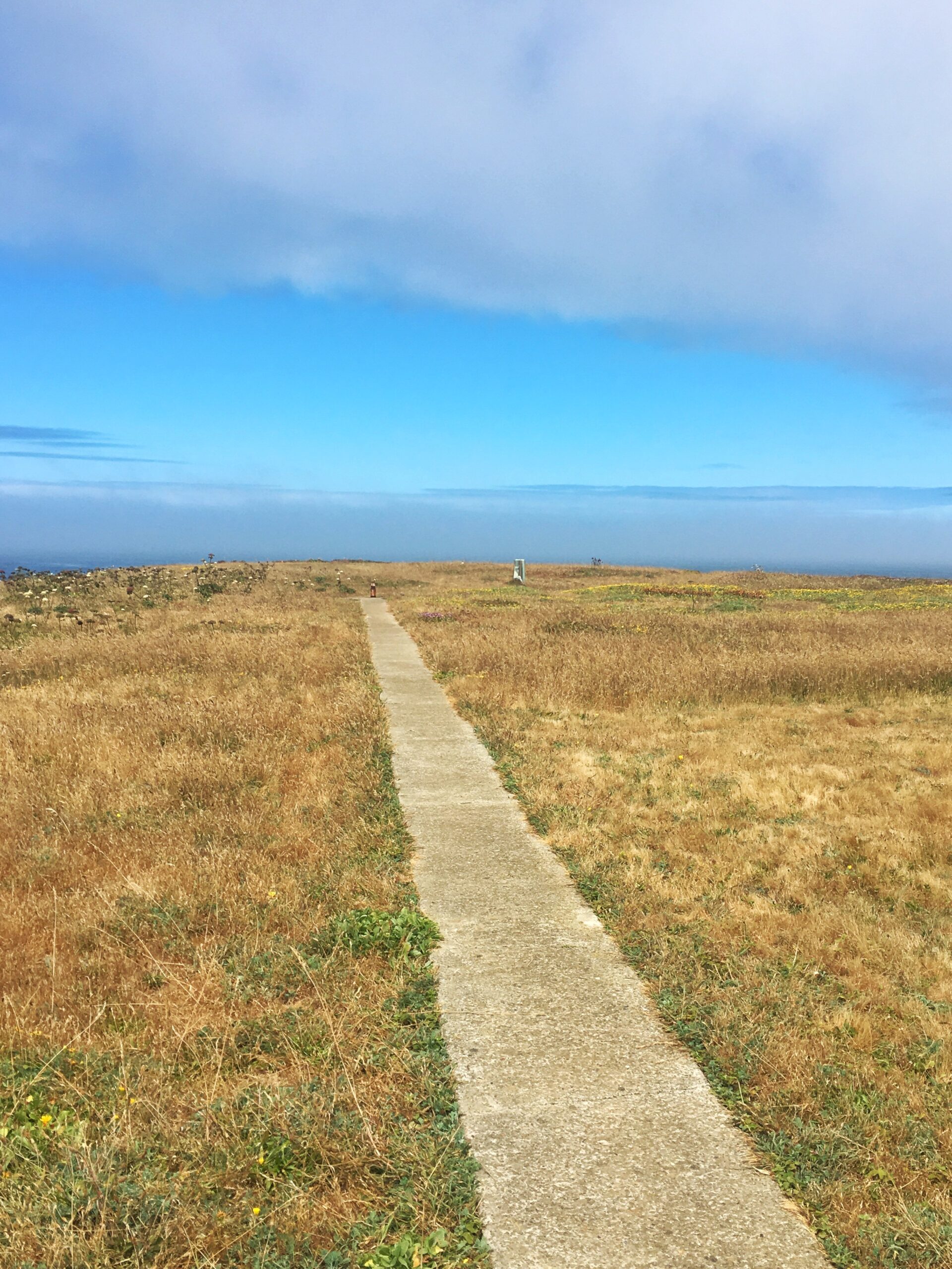 Mendocino California itinerary 2 Nights in Mendocino California | Traveling Spud