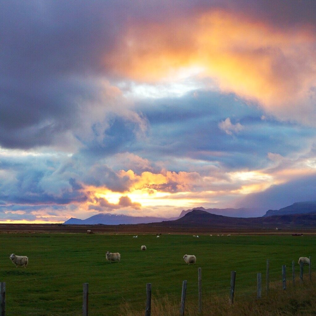Iceland Ring Road travel Epic Stops I Made on Icelands Ring Road