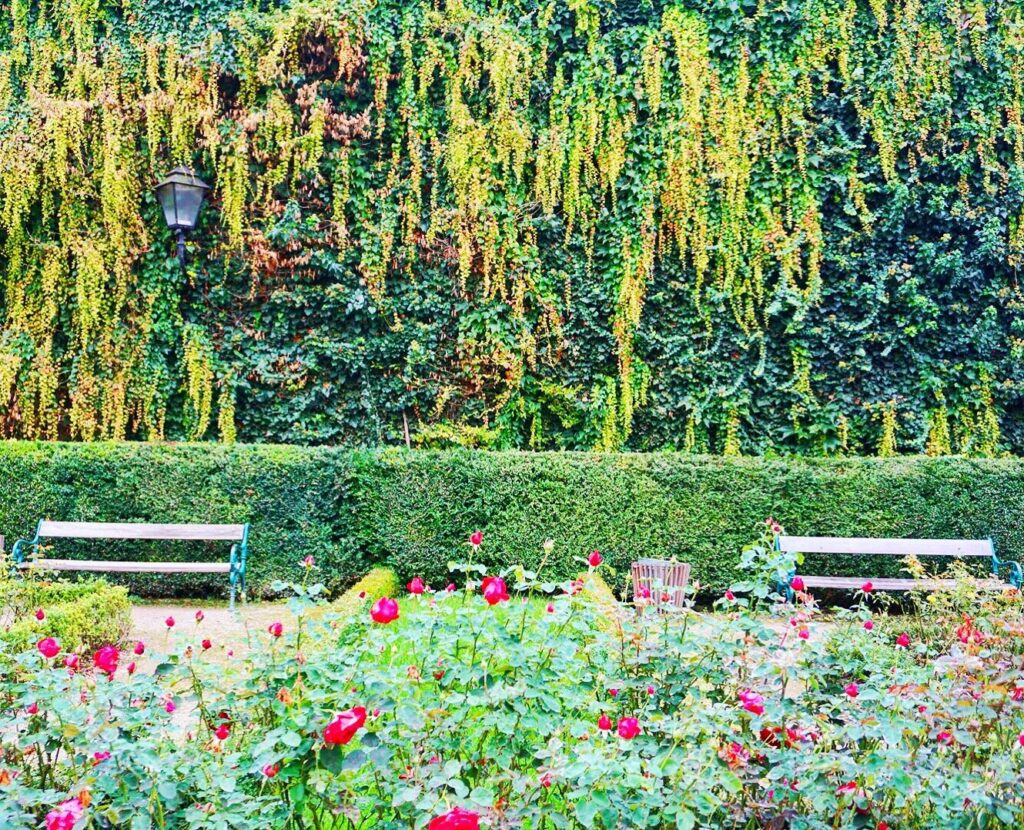 Mirabellplatz garden Mirabellplatz garden