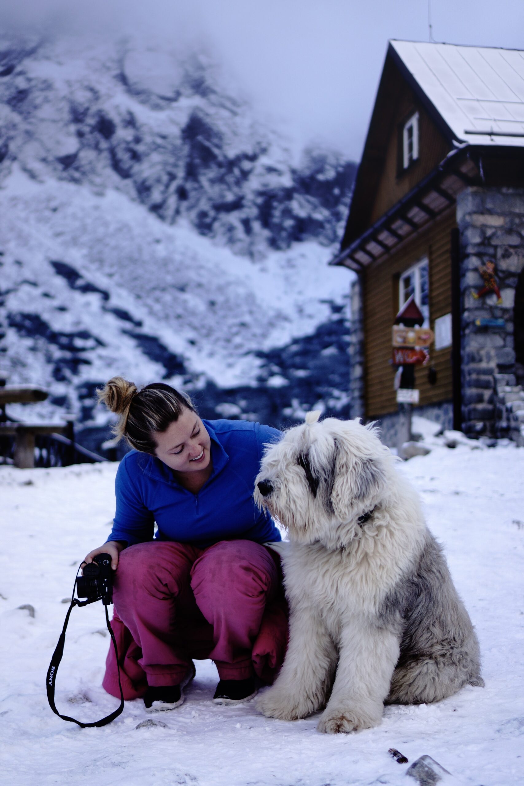 furry dog in Slovakia furry dog in Slovakia | Diary from Around the World
