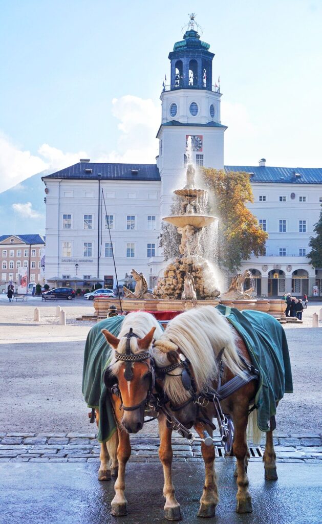 horses in Salzburg horses in Salzburg