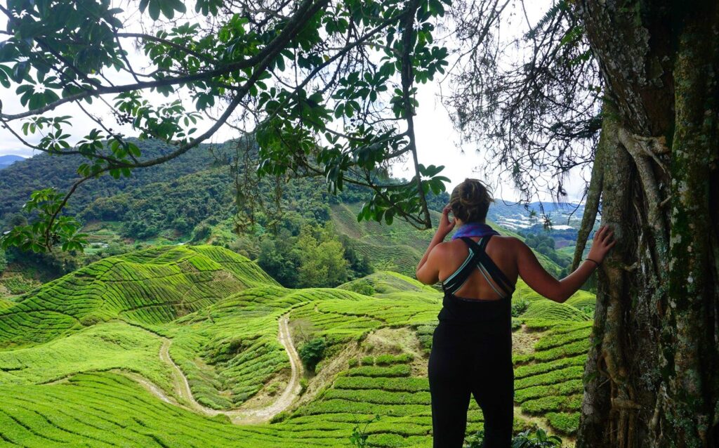 Malaysia nature Diaries Around the World: 6.5 Months