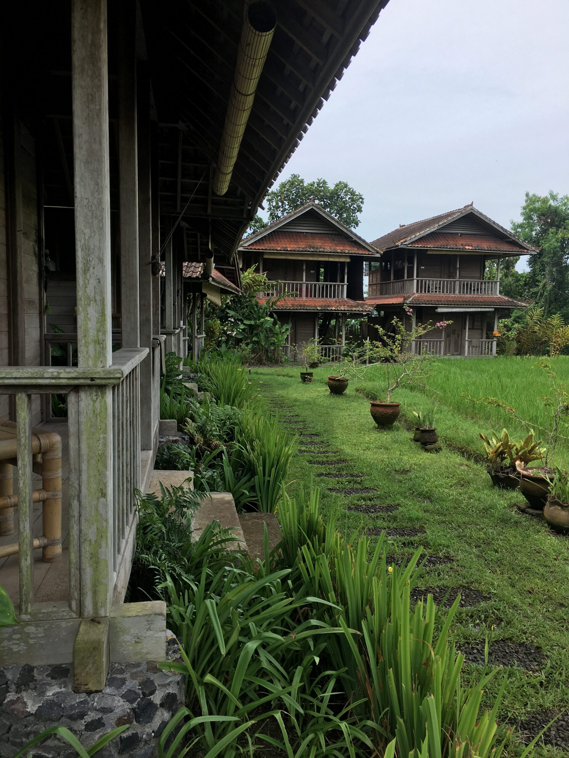 Bali Silent Retreat experience Bali Silent Retreat experience