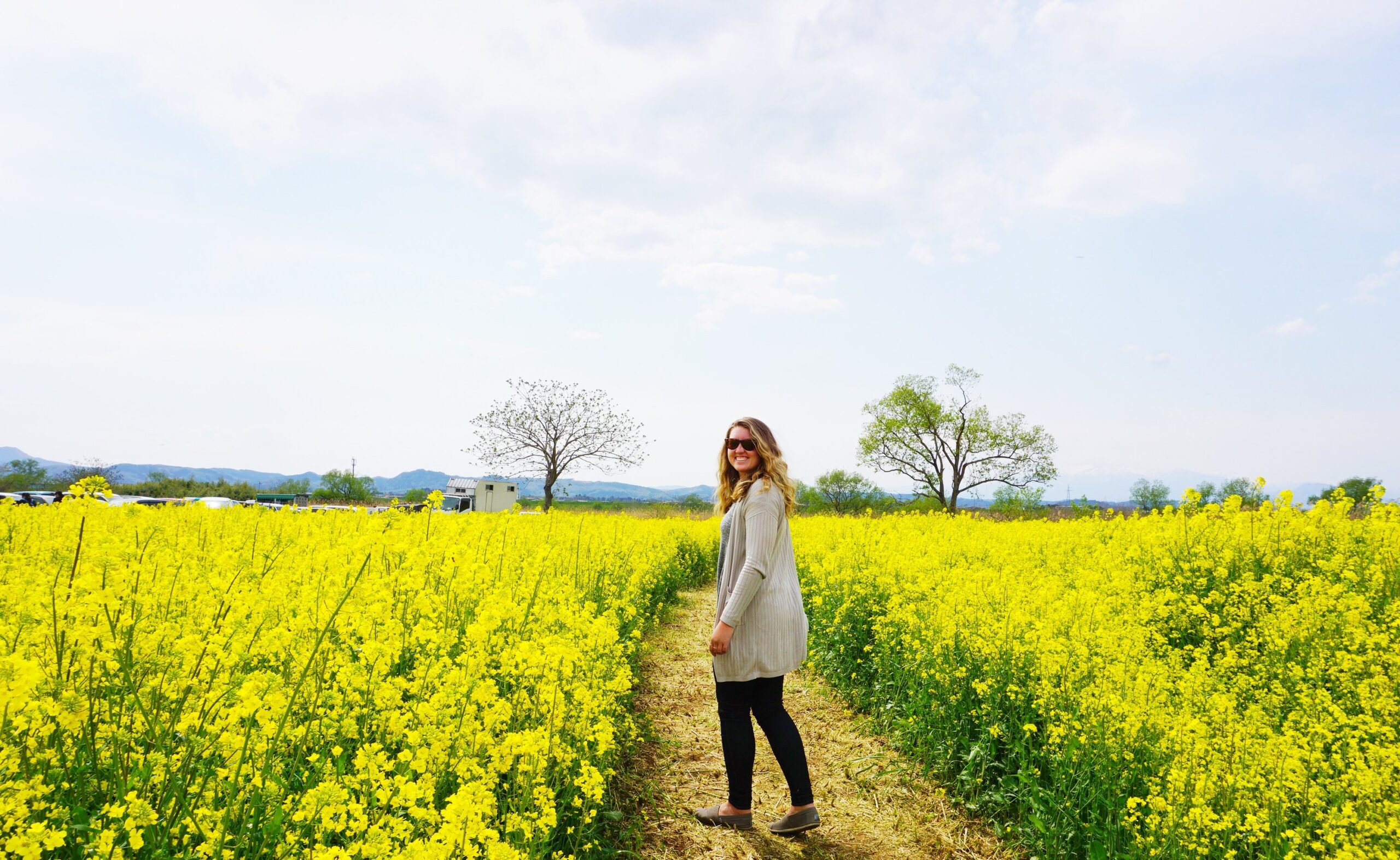 yellow flower festival