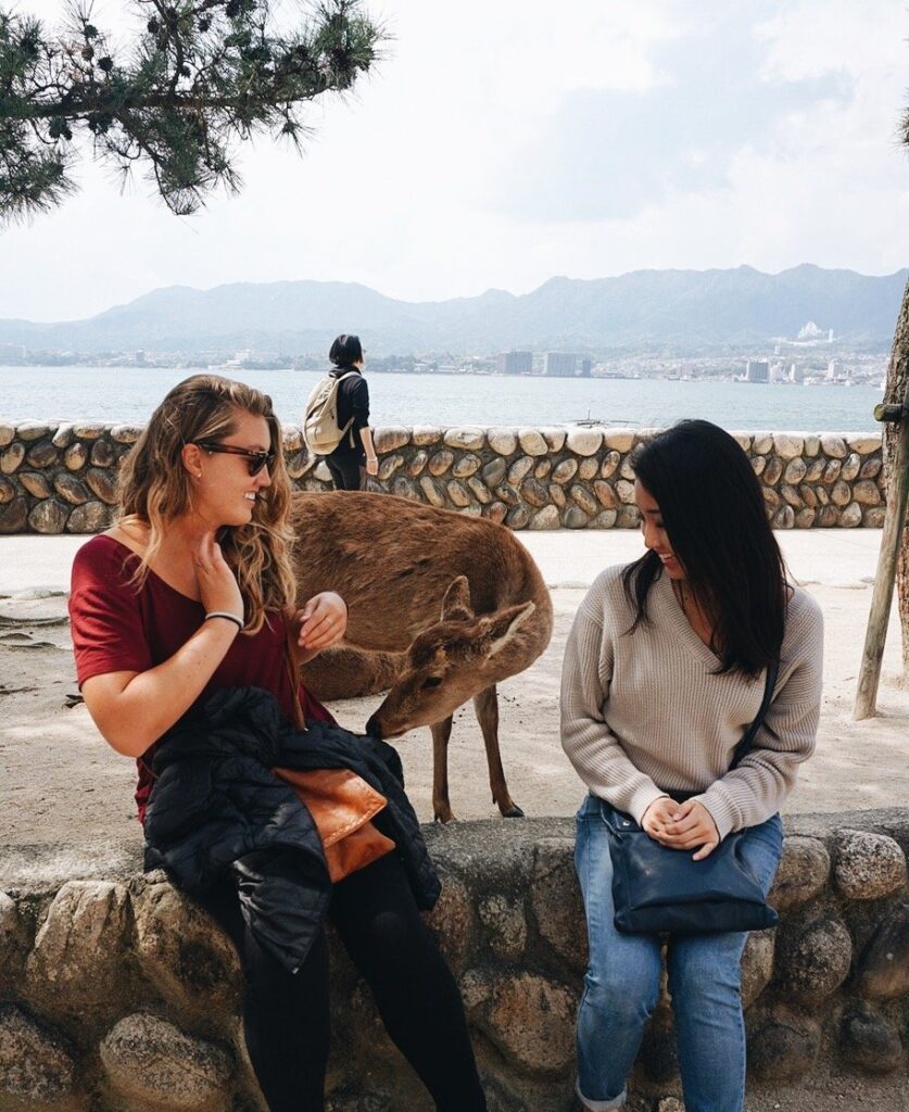 Miyajima deer