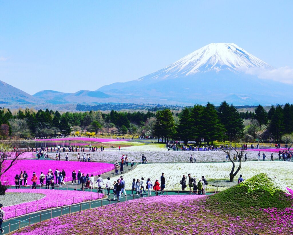 Mt. Fuji in Spring | Diaries Around Japan