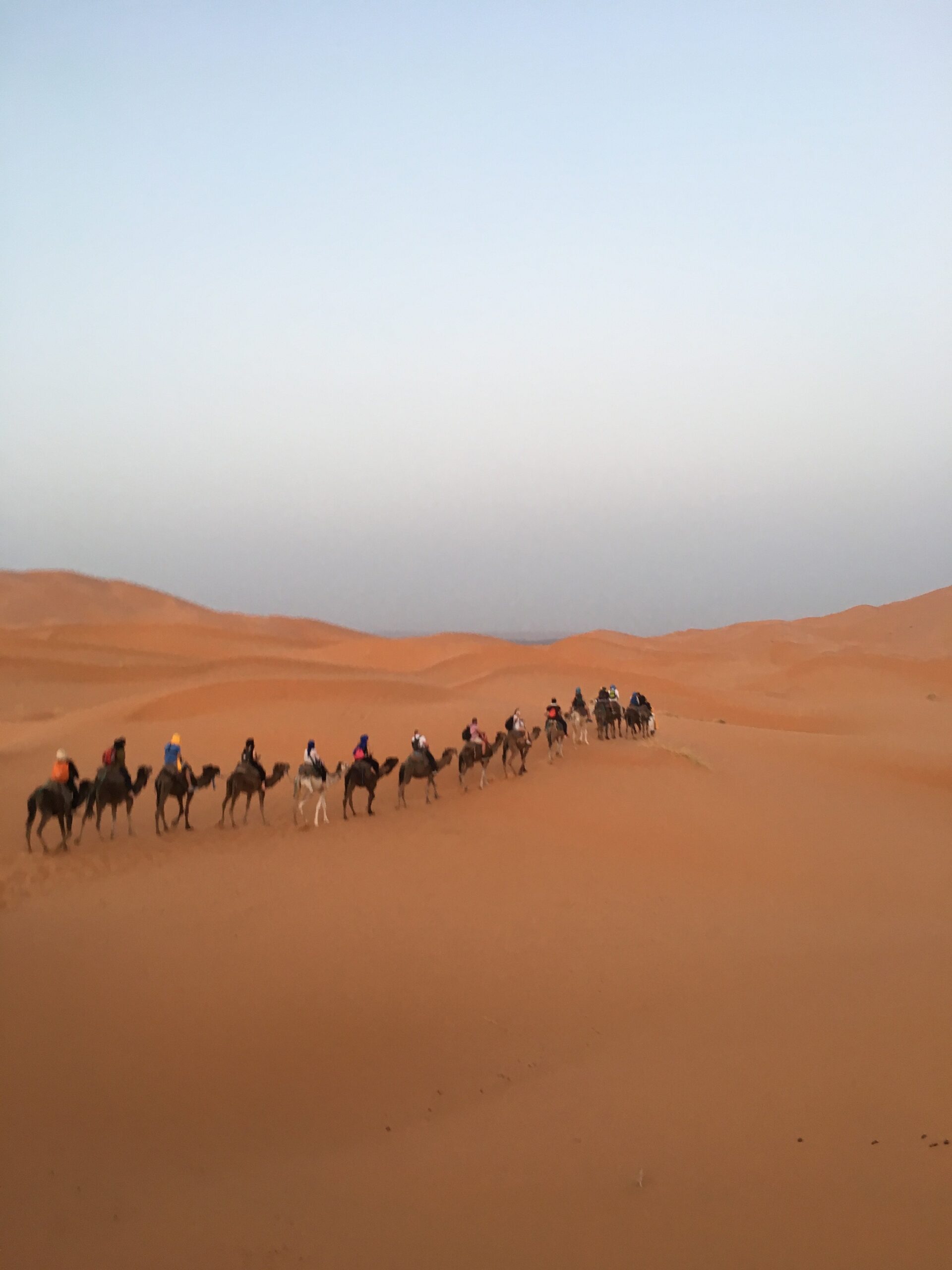 Riding camels in Sahara desert | Diaries in Italy and Morocco