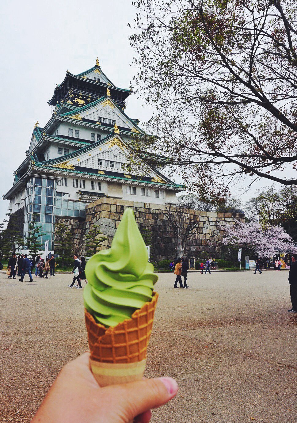 osaka castle spring time osaka castle spring time