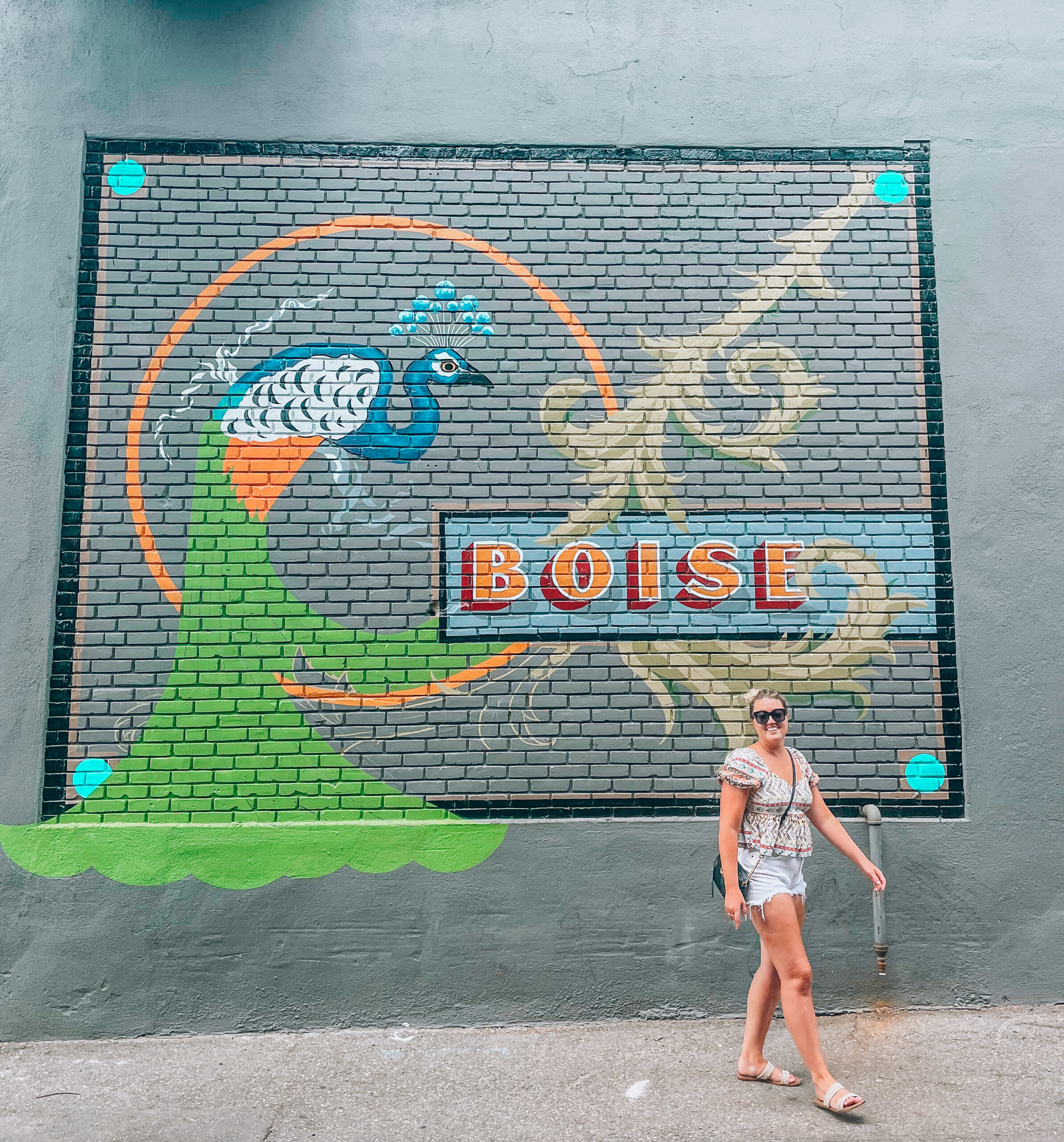 Boise idaho murals