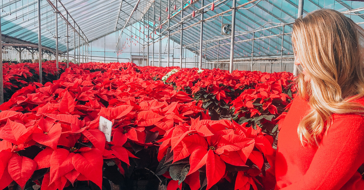 Boise Christmas and Holiday Events You Can’t Miss 2026/27